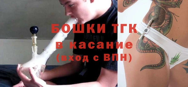 шишки Алзамай